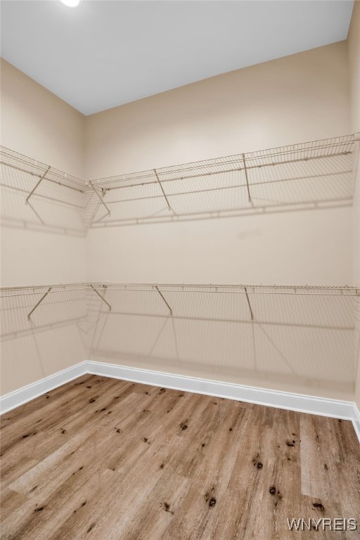 251 Main Street, Unit 300 Buffalo, NY 14203 - Photo 29 of 38