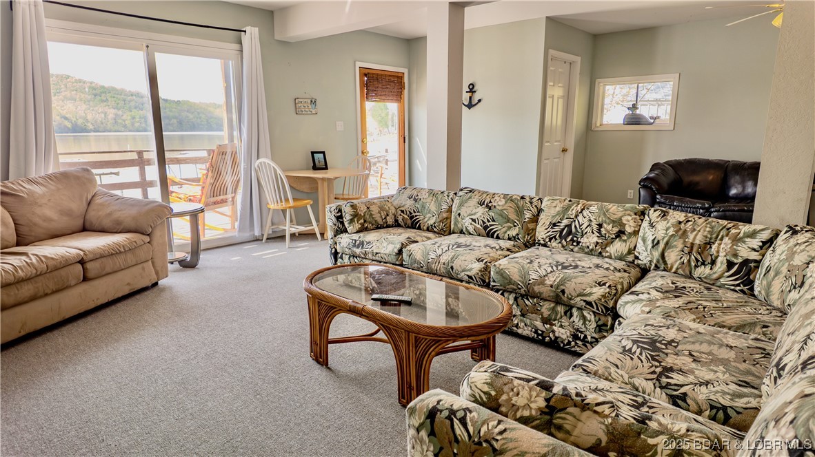 1130 Laura Hufferd Road Roach, MO 65787 - Photo 16 of 18 Lower level family room.