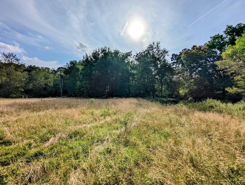 Tbd Red Oak Grove Road Northeast Floyd, VA 24091 - Photo 21 of 33 Gallery Image 21