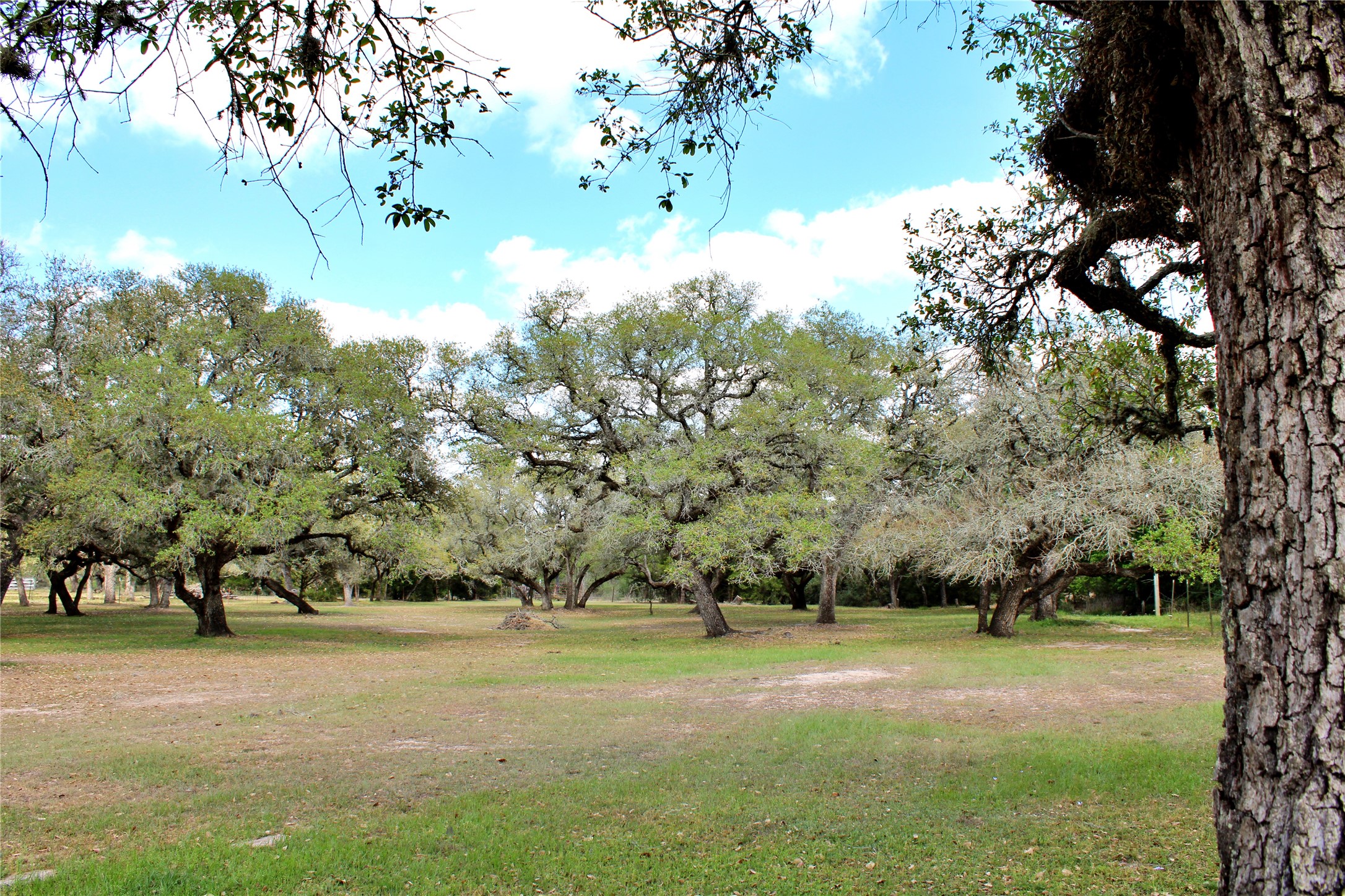 1061 Dee Allen Road Columbus, TX 78934 - Photo 13 of 40