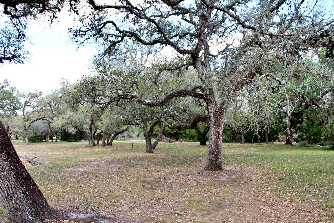 1061 Dee Allen Road Columbus, TX 78934 - Photo 14 of 40