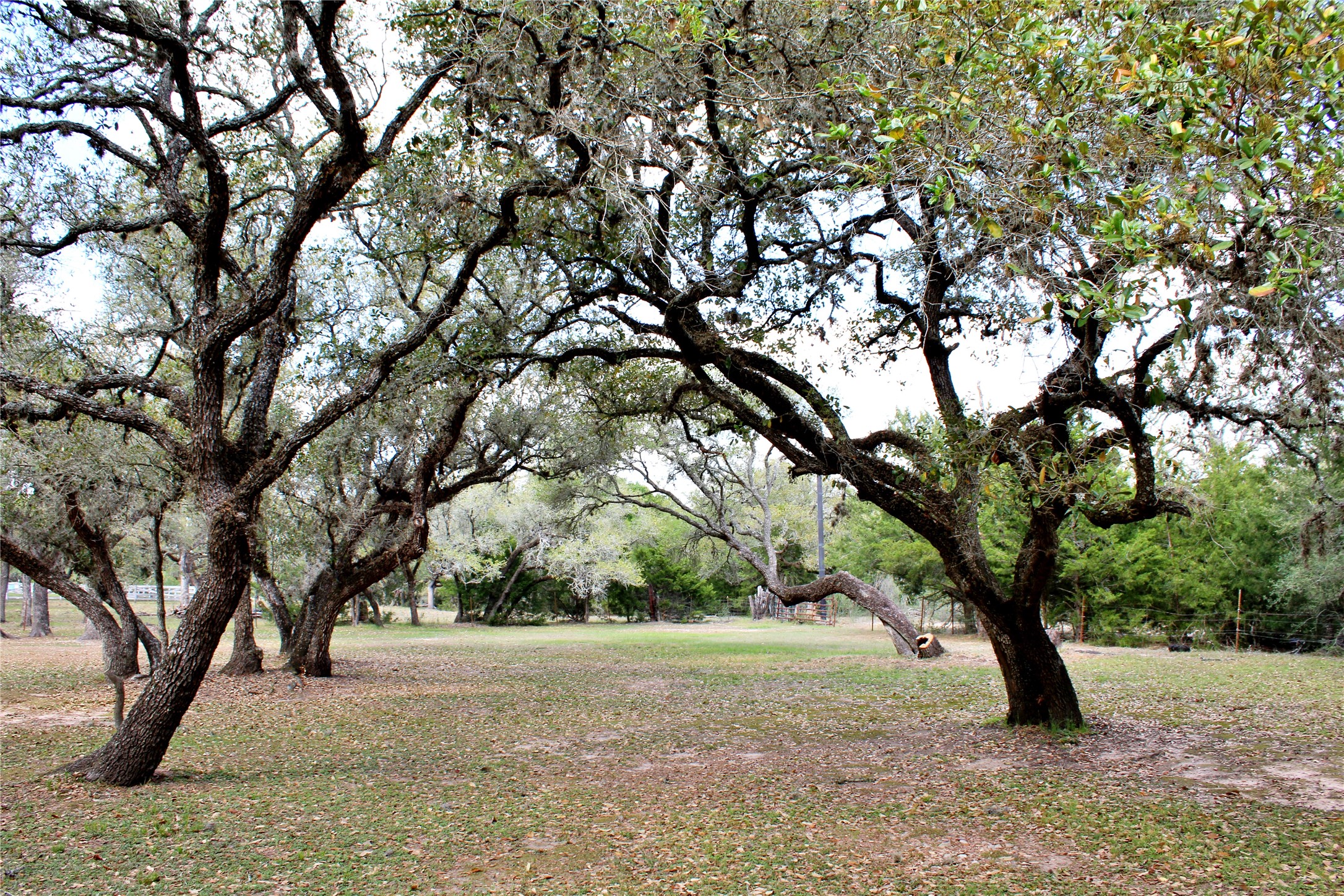 1061 Dee Allen Road Columbus, TX 78934 - Photo 15 of 40
