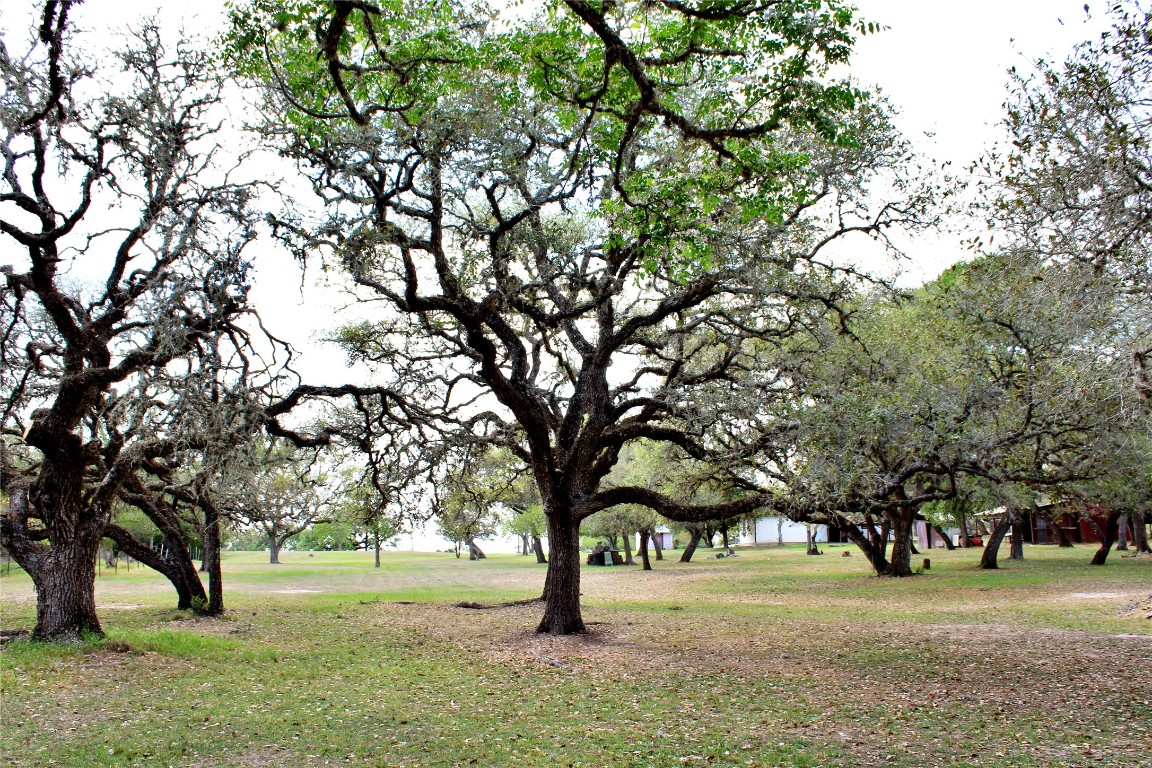 1061 Dee Allen Road Columbus, TX 78934 - Photo 16 of 40