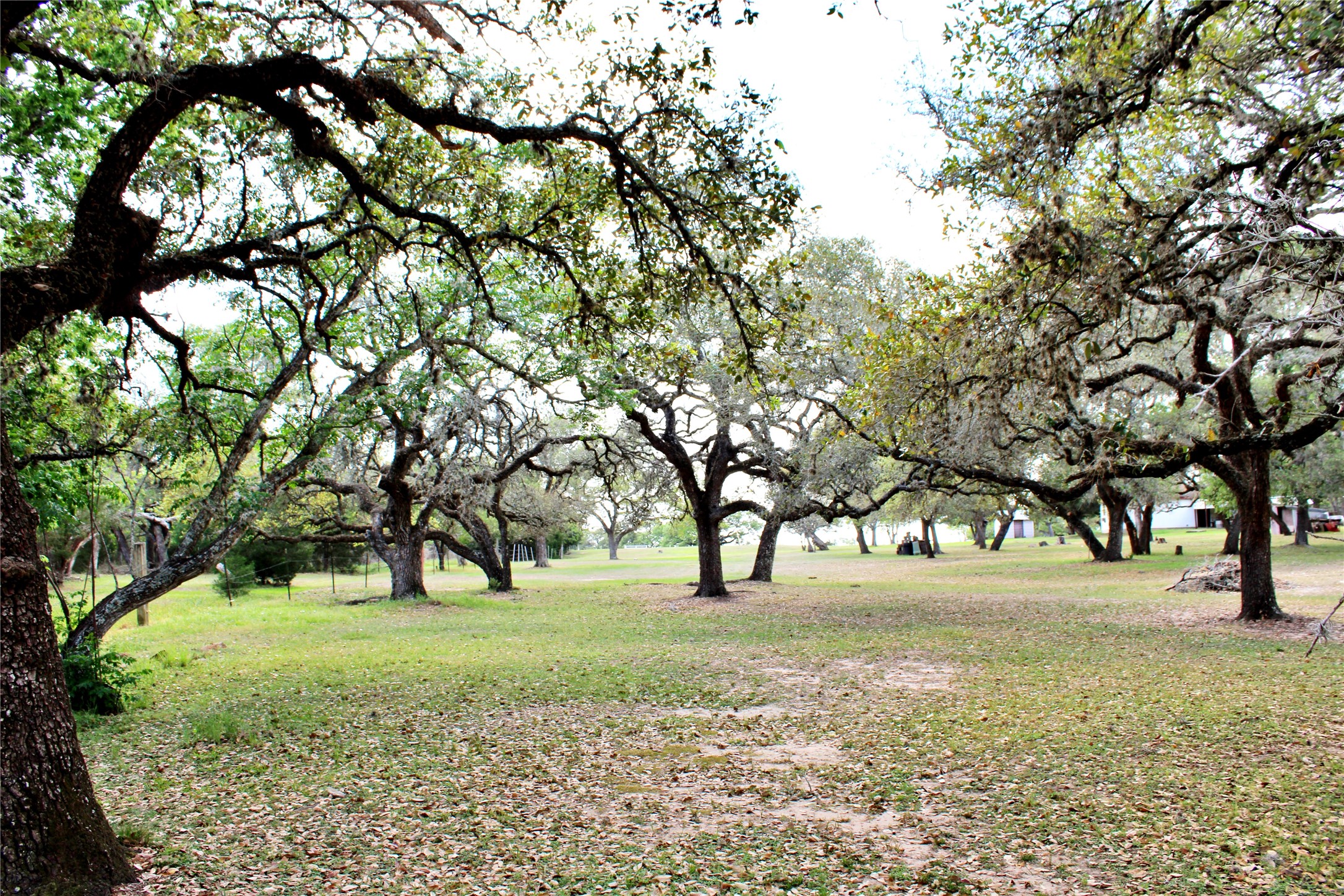 1061 Dee Allen Road Columbus, TX 78934 - Photo 17 of 40
