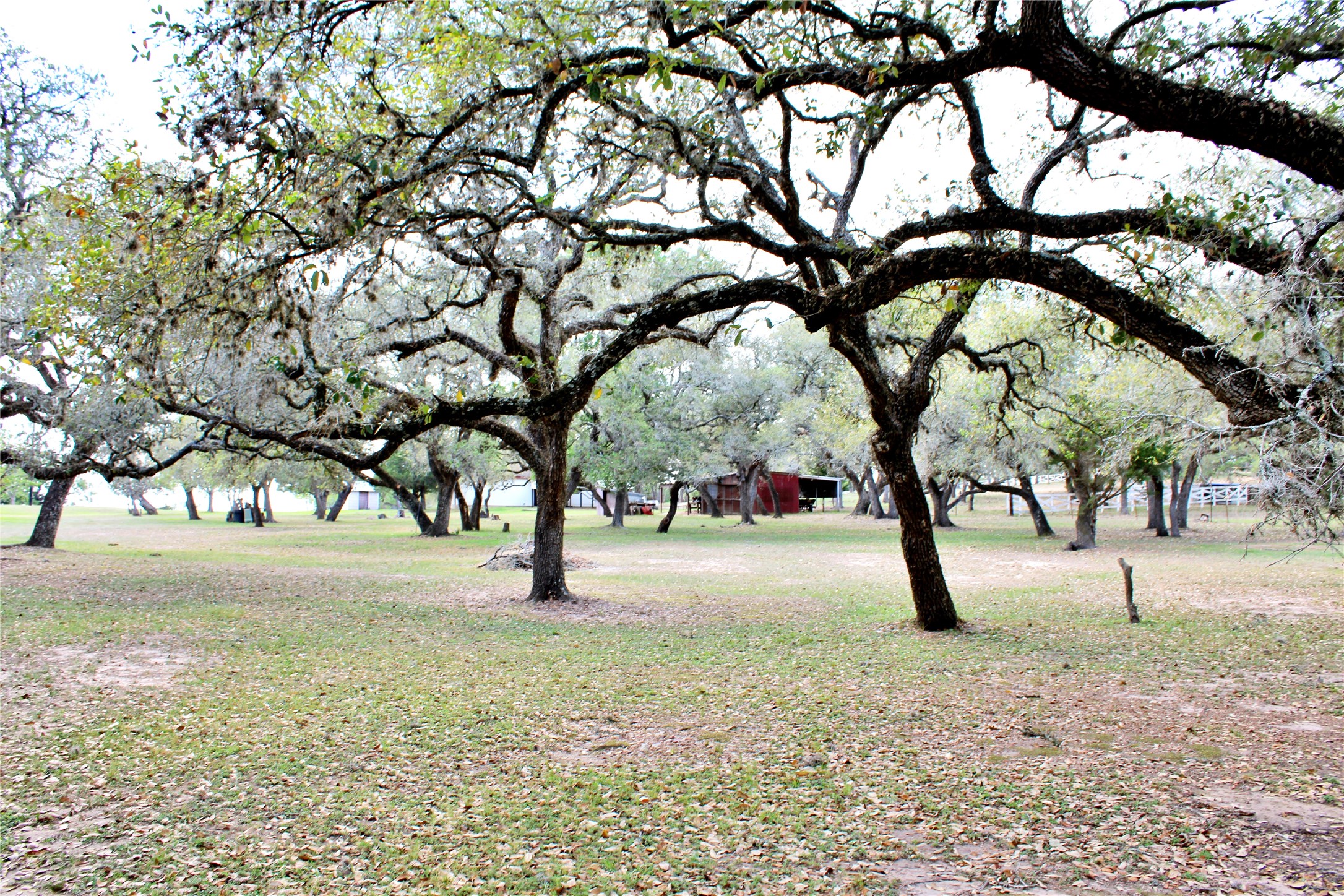 1061 Dee Allen Road Columbus, TX 78934 - Photo 18 of 40