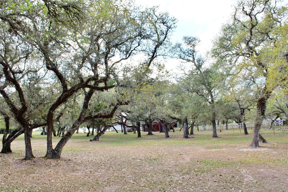 1061 Dee Allen Road Columbus, TX 78934 - Photo 19 of 40