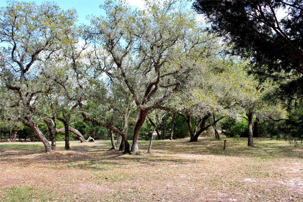 1061 Dee Allen Road Columbus, TX 78934 - Photo 21 of 40