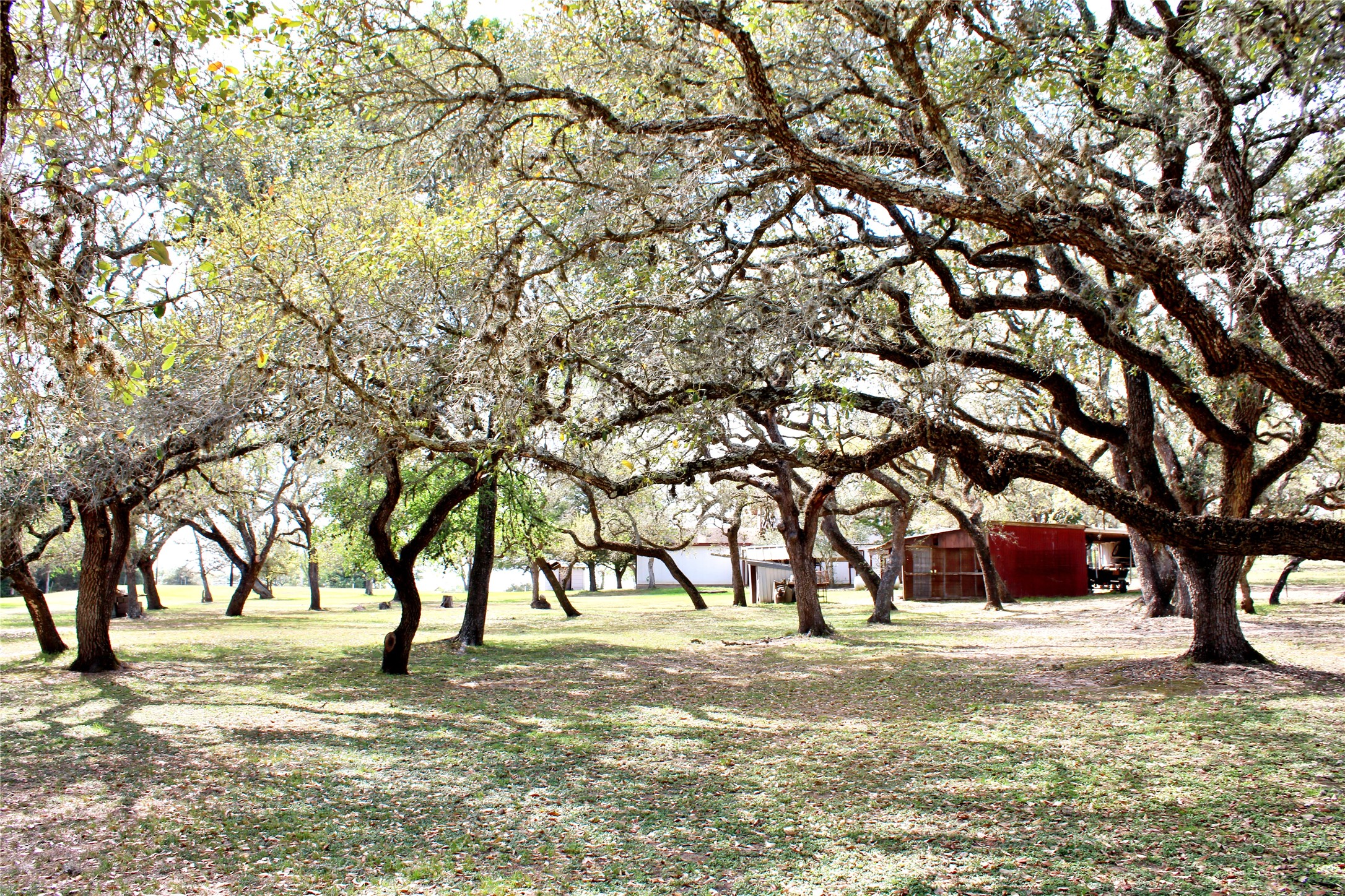 1061 Dee Allen Road Columbus, TX 78934 - Photo 22 of 40