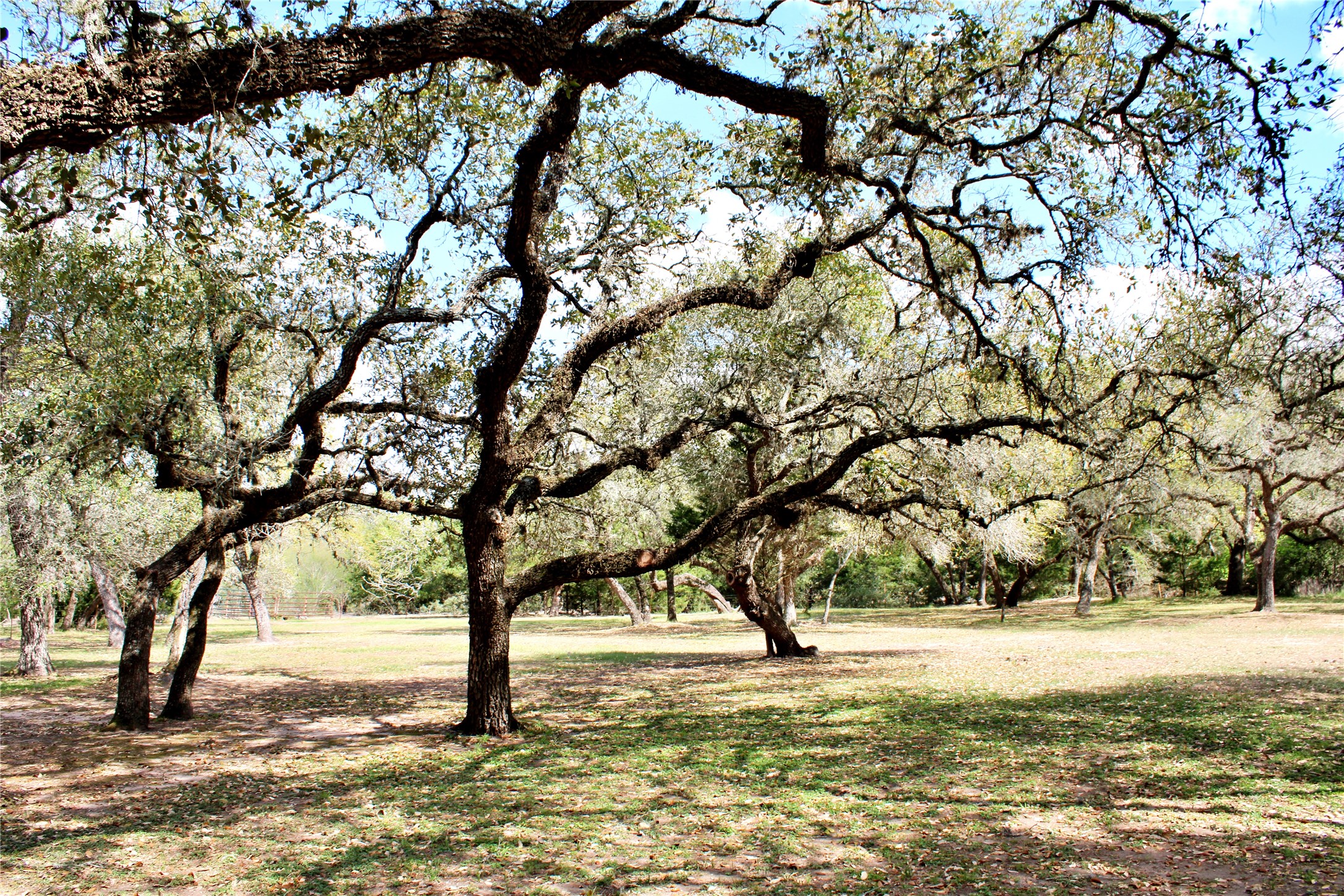1061 Dee Allen Road Columbus, TX 78934 - Photo 23 of 40