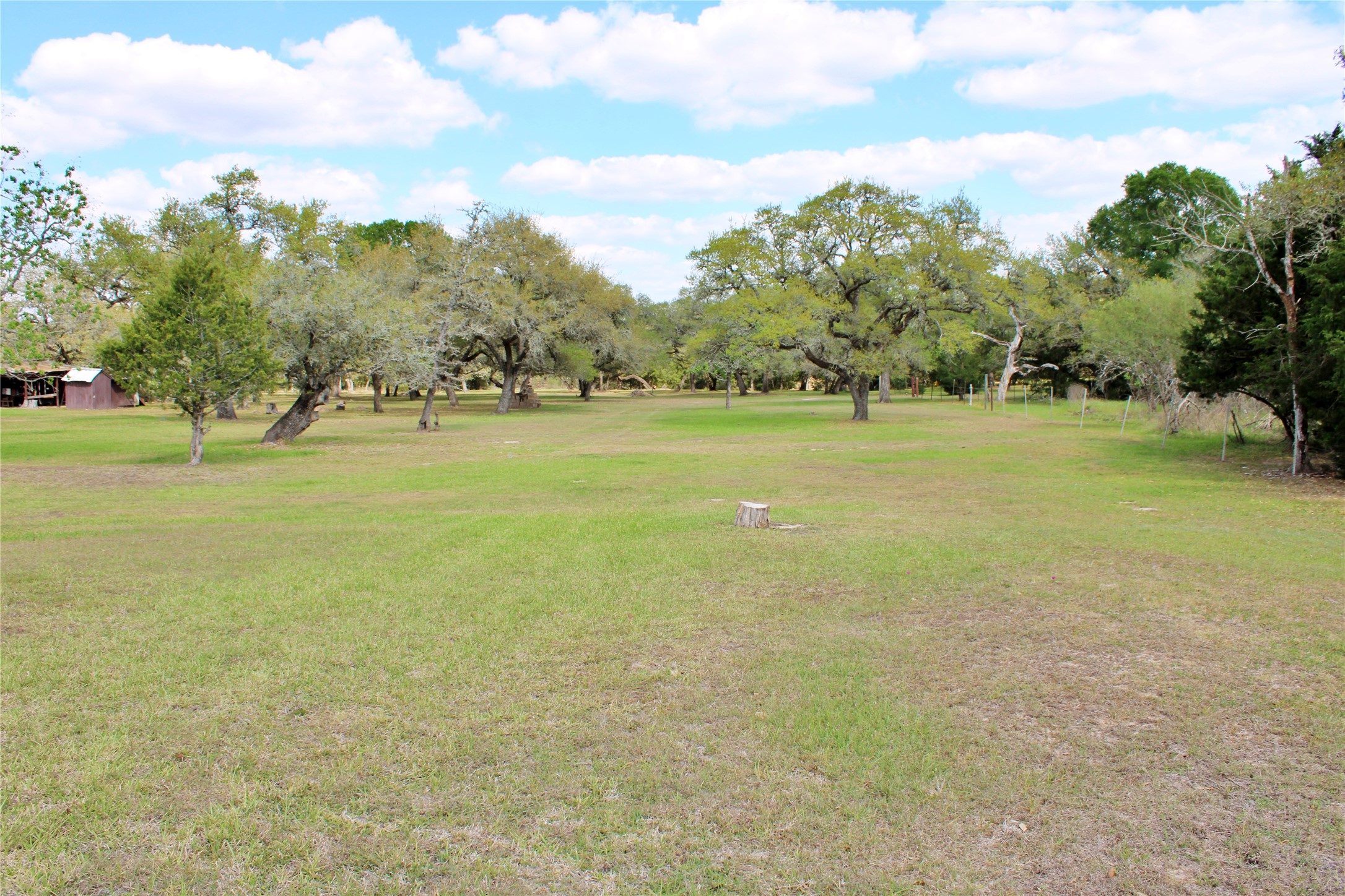 1061 Dee Allen Road Columbus, TX 78934 - Photo 9 of 40