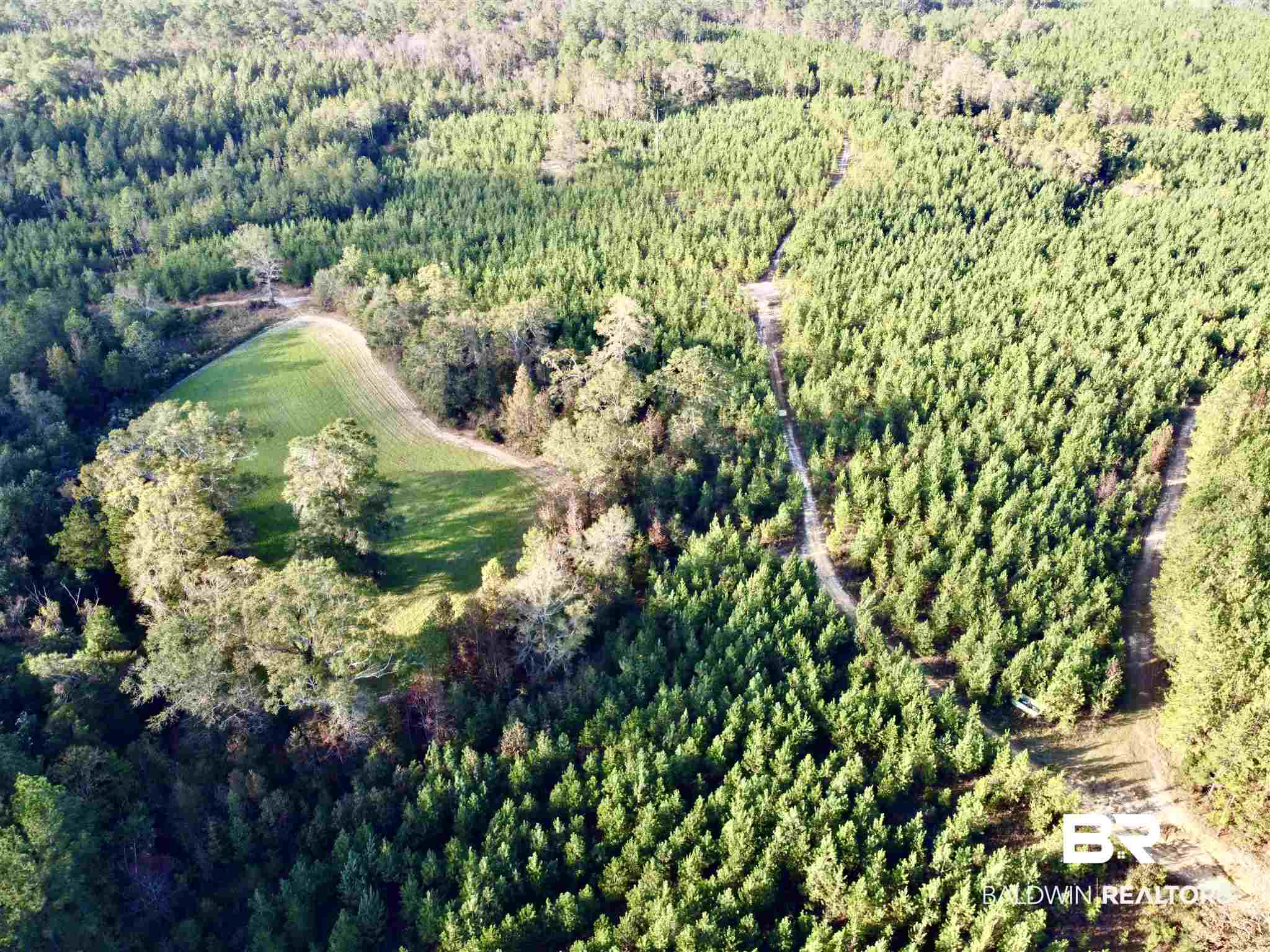 0 Whitetail Run Chatom, AL 36518 - Photo 13 of 29