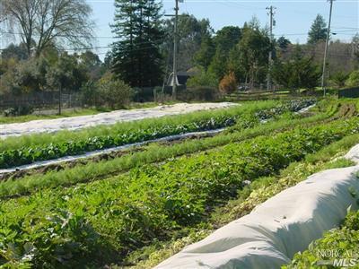 10660 Barnett Valley Road Sebastopol, CA 95472 - Photo 3 of 10 a view of a garden with a pathway