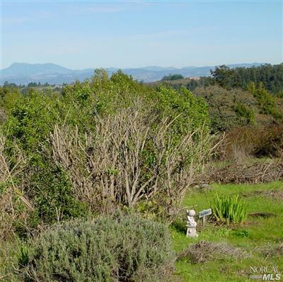 10660 Barnett Valley Road Sebastopol, CA 95472 - Photo 4 of 10 a view of a yard