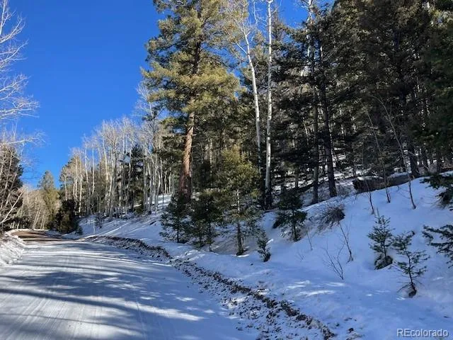 a view of a yard with plants and trees
