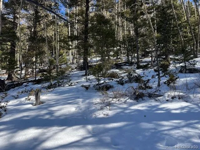 a view of outdoor space with trees