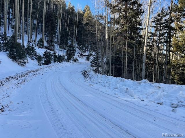 Lot 5339 Howard Road Fort Garland, CO 81133 - Photo 2 of 14 a view of a backyard of the house