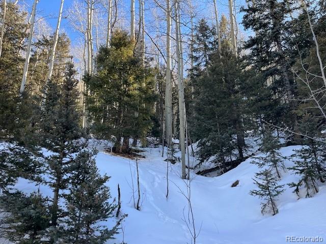 Lot 5339 Howard Road Fort Garland, CO 81133 - Photo 3 of 14 a view of outdoor space and yard