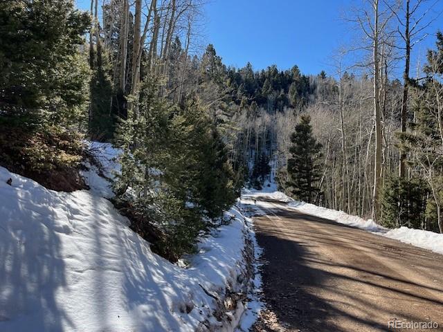 Lot 5339 Howard Road Fort Garland, CO 81133 - Photo 4 of 14