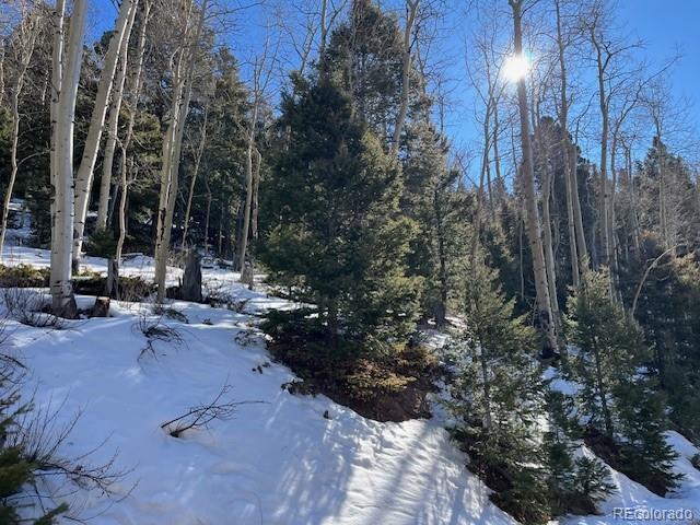 Lot 5339 Howard Road Fort Garland, CO 81133 - Photo 5 of 14 a view of a park with large trees