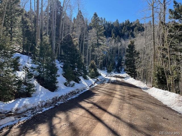 Lot 5339 Howard Road Fort Garland, CO 81133 - Photo 6 of 14 a view of a yard with trees