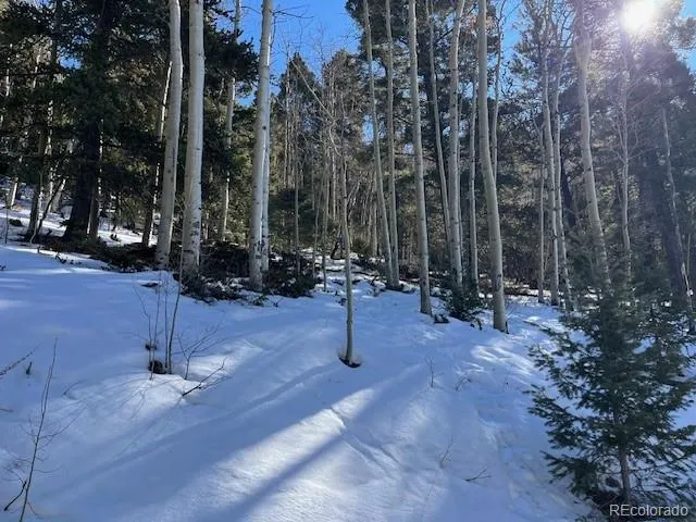 a view of outdoor space with trees