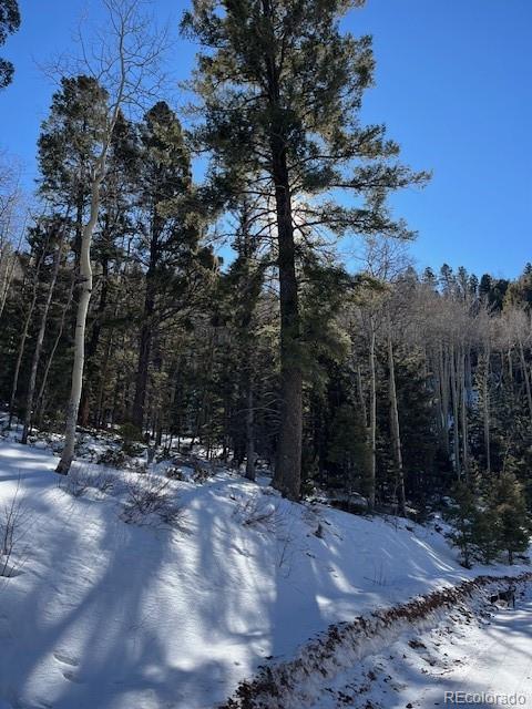 Lot 5339 Howard Road Fort Garland, CO 81133 - Photo 8 of 14 a view of outdoor space with trees