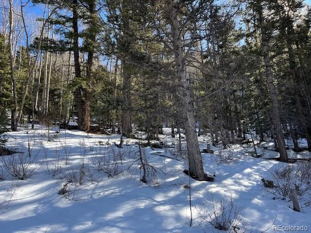 Lot 5339 Howard Road Fort Garland, CO 81133 - Photo 10 of 14 a view of open space with lots of green space