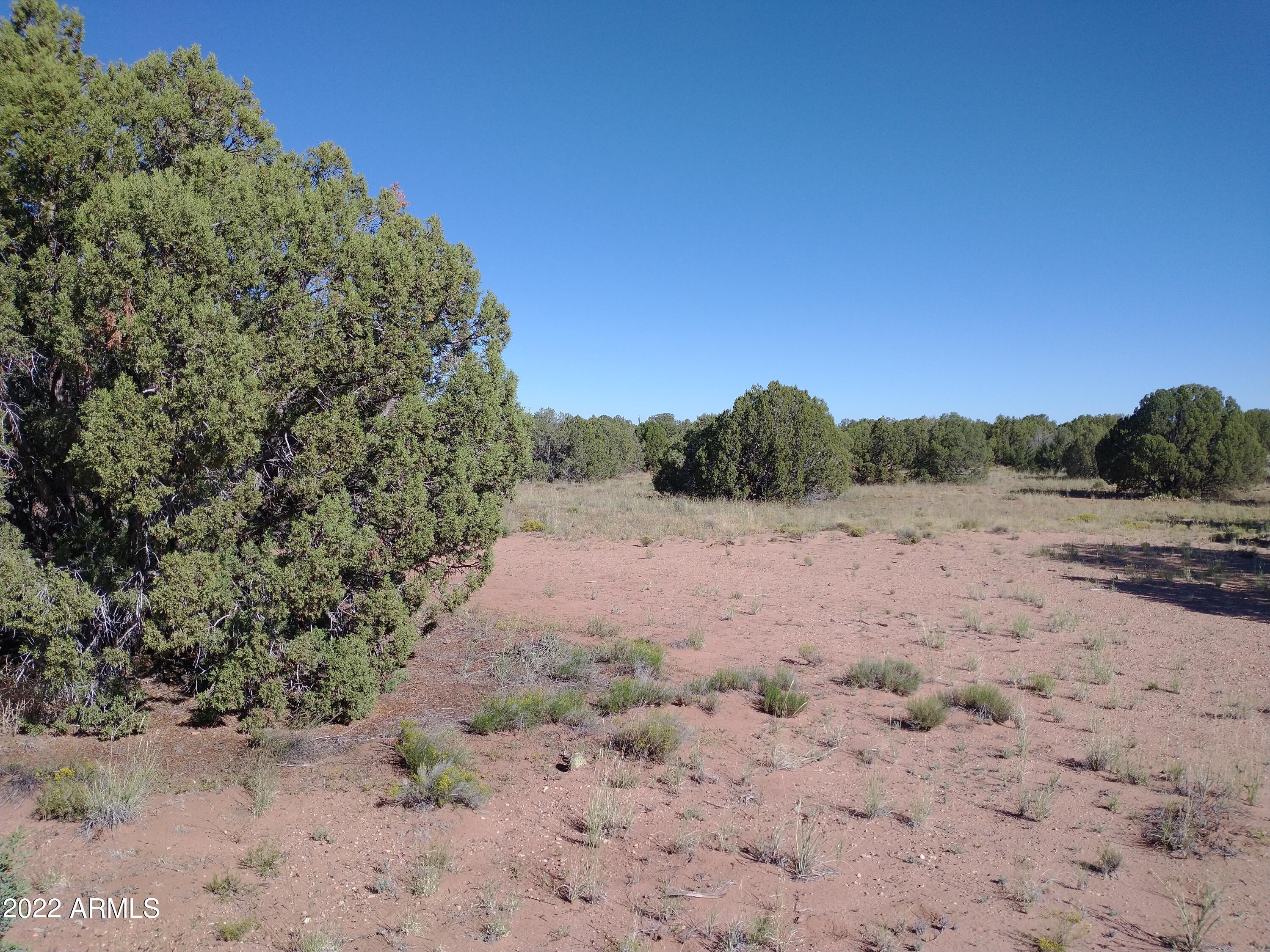 4428 Mountain View Road, Unit 100 Snowflake, AZ 85937 - Photo 1 of 10 IMG_20220917_090532446