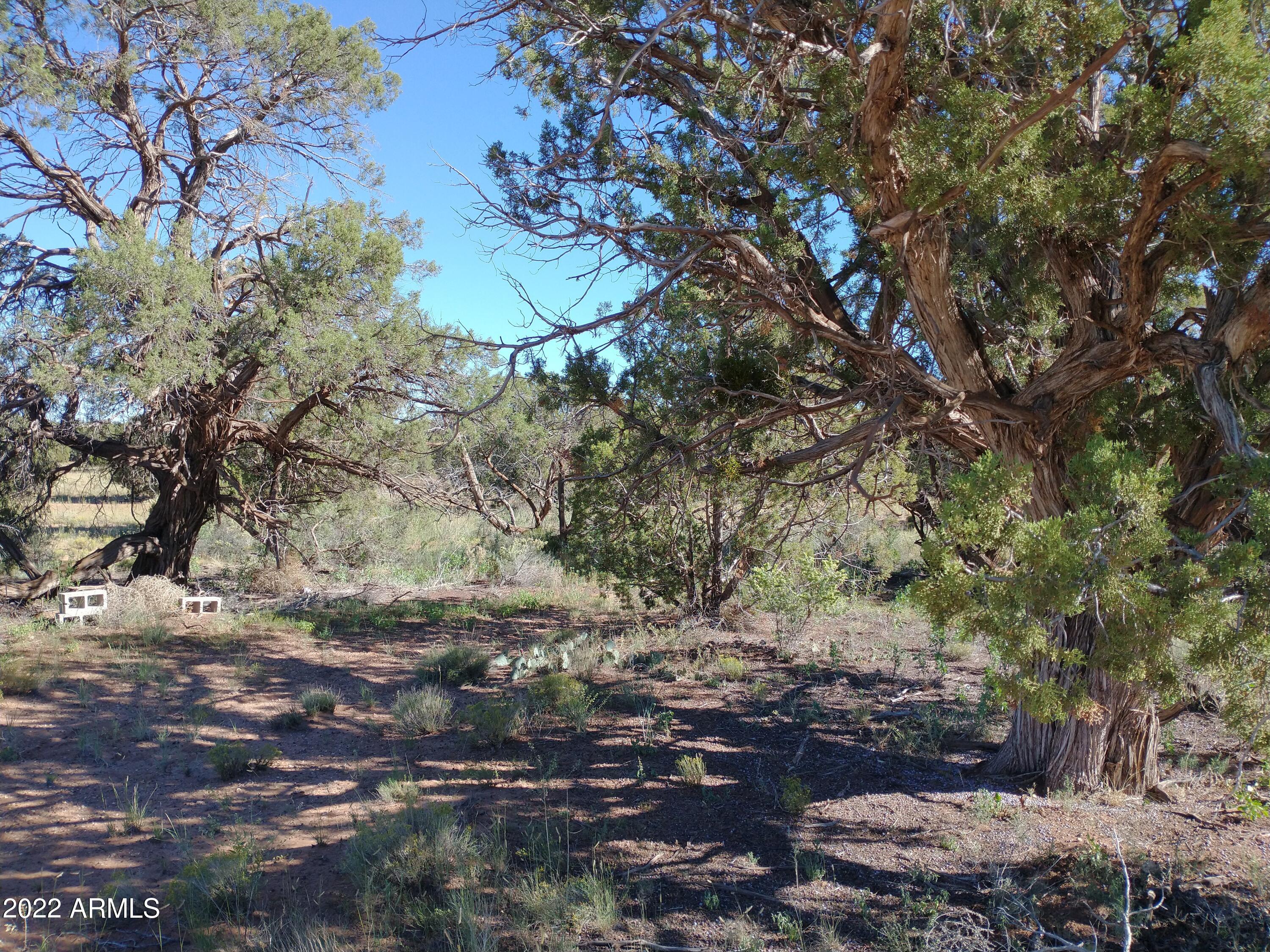 4428 Mountain View Road, Unit 100 Snowflake, AZ 85937 - Photo 6 of 10 IMG_20220917_090508159