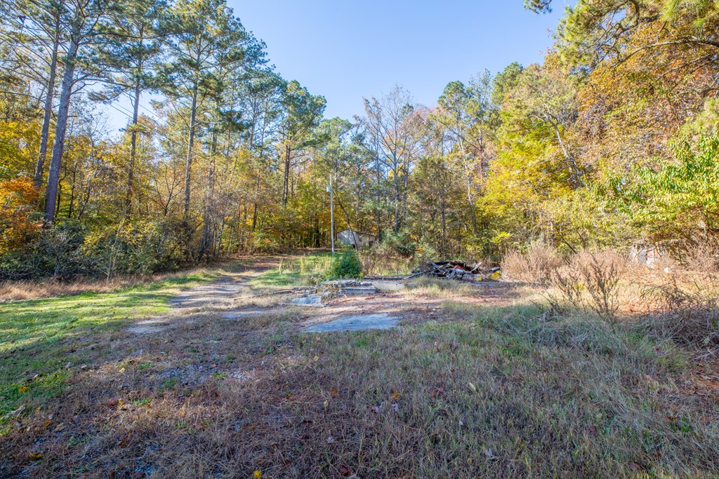 685 Goswick Road Chatsworth, GA 30705 - Photo 16 of 43 Gallery Image 16