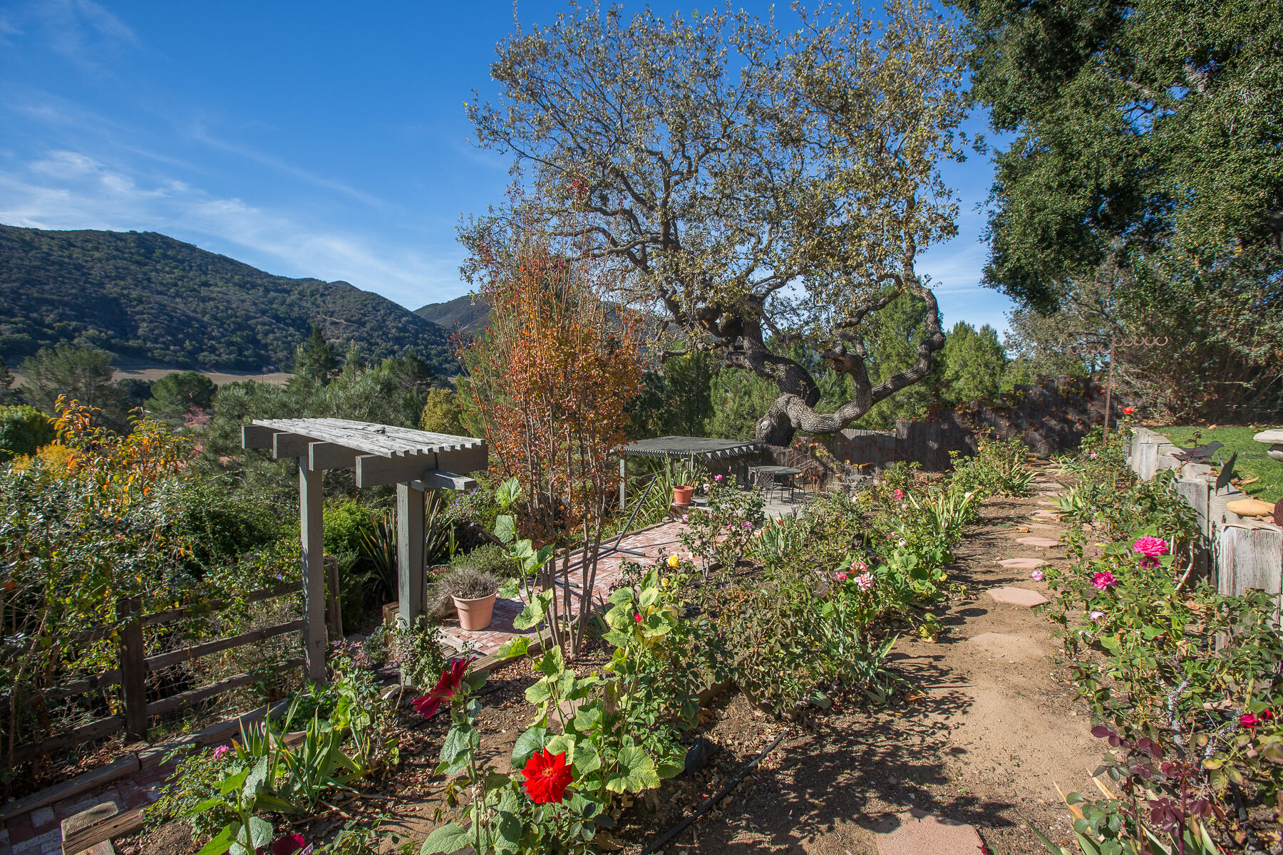 137 3rd Street Solvang, CA 93463 - Photo 20 of 24 a view of a garden with flowers