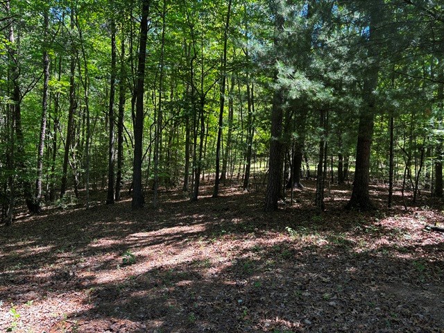 1190 Maple Grove Road Morganton, GA 30560 - Photo 94 of 96 a view of a forest with trees in the background