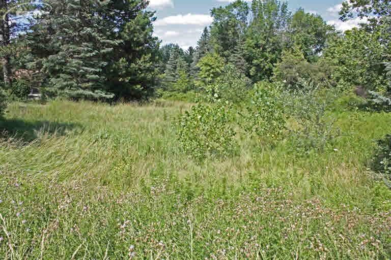 7226 West River Road Flushing, MI 48433 - Photo 6 of 7
