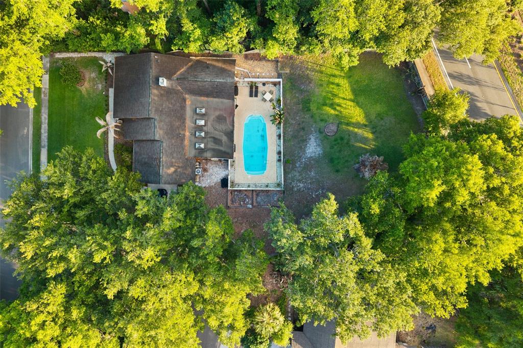 84 Hollow Branch Road Apopka, FL 32703 - Photo 37 of 40
