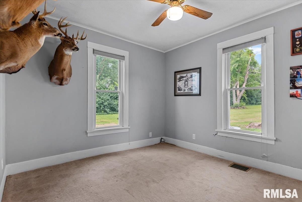509 South Walnut Street Rochester, IL 62563 - Photo 19 of 31 Gallery Image 19