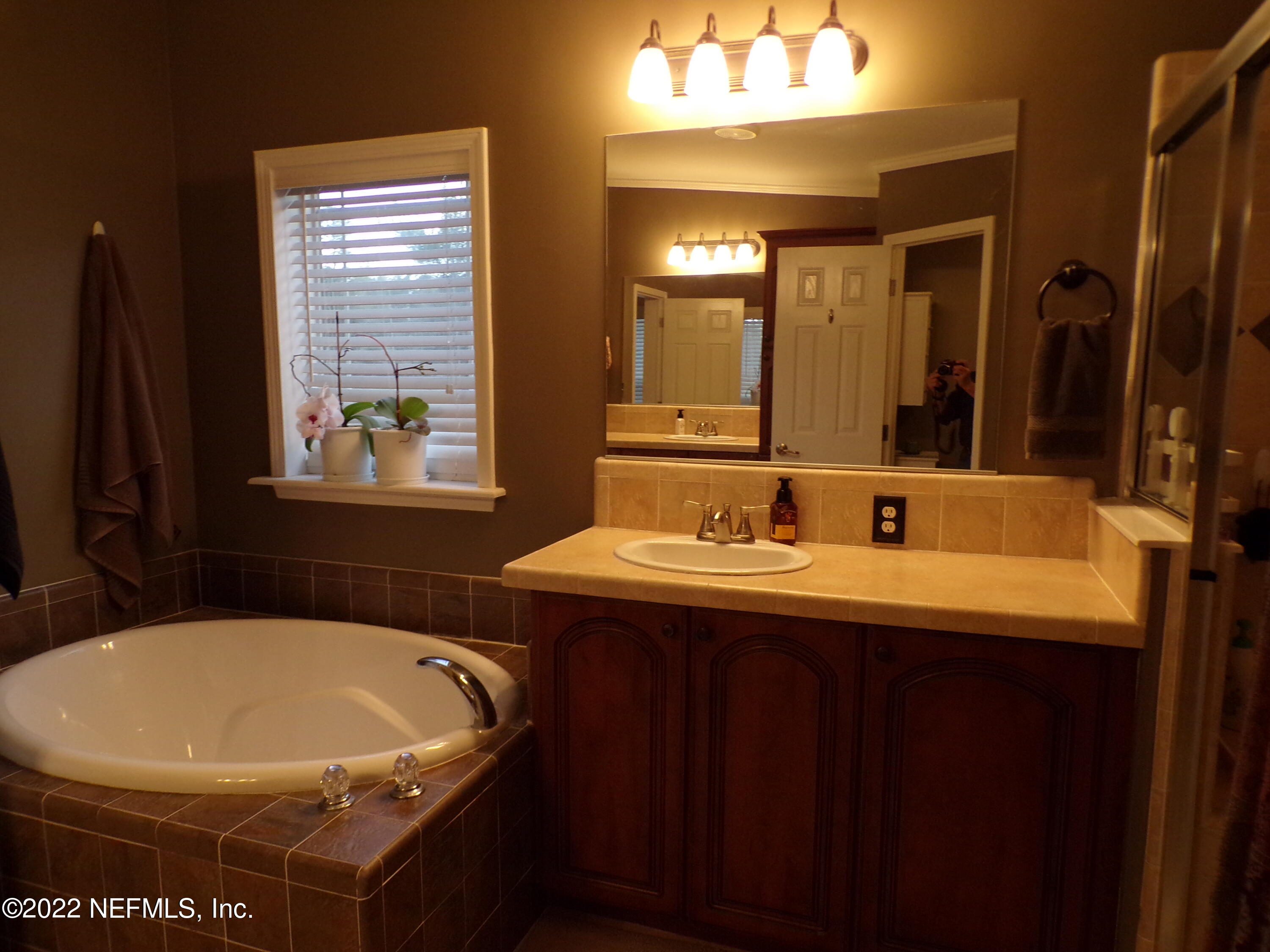 4173 Southwest 100th Place Lake Butler, FL 32054 - Photo 27 of 61 masterbath