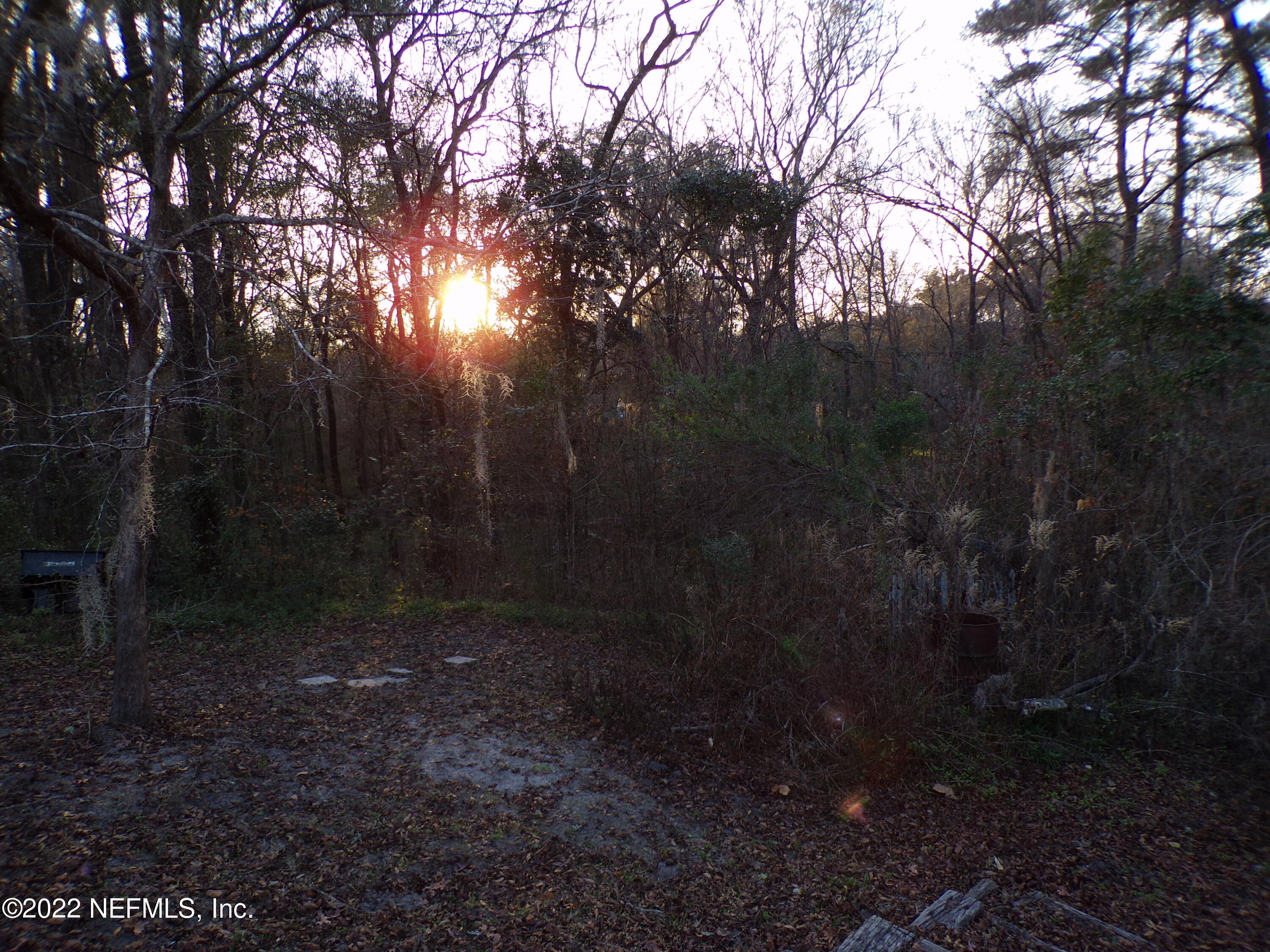 4173 Southwest 100th Place Lake Butler, FL 32054 - Photo 53 of 61 view toward creek