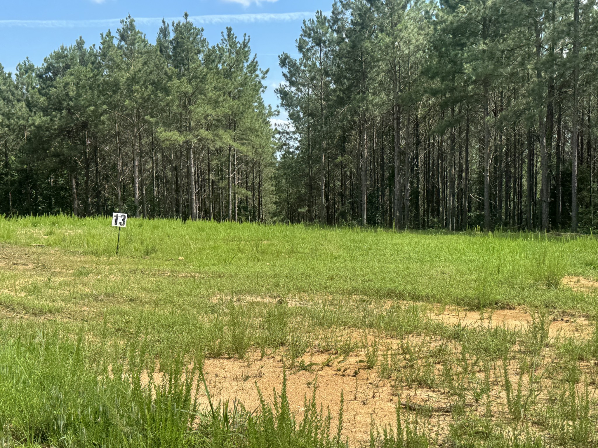 0 Rustic Pines Road Dover, TN 37058 - Photo 4 of 21