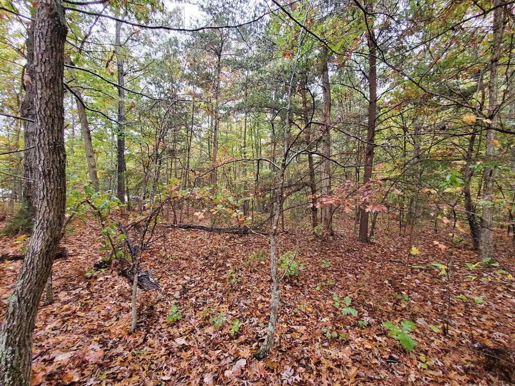 Purdum Mill Road Appomattox, VA 24522 - Photo 4 of 4 Gallery Image 4