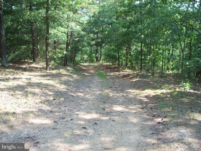 2818 Tabor Road Berkeley Springs, WV 25411 - Photo 12 of 21 a view of a yard with a tree