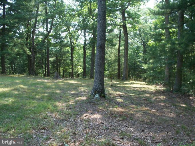 2818 Tabor Road Berkeley Springs, WV 25411 - Photo 17 of 21 a view of outdoor space with trees