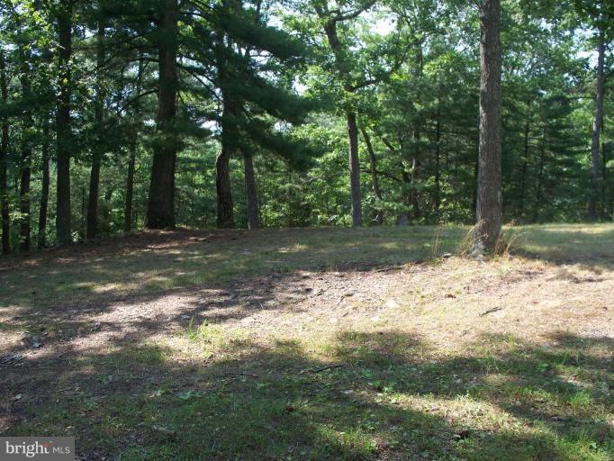2818 Tabor Road Berkeley Springs, WV 25411 - Photo 19 of 21 a view of a yard with a tree