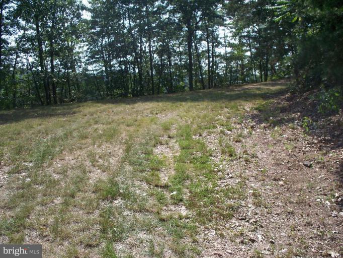 2818 Tabor Road Berkeley Springs, WV 25411 - Photo 20 of 21 a view of a yard with a tree