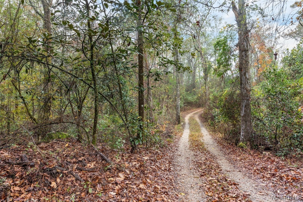 3134 Benton Store Road Columbia, AL 36319 - Photo 45 of 62 Gallery Image 45