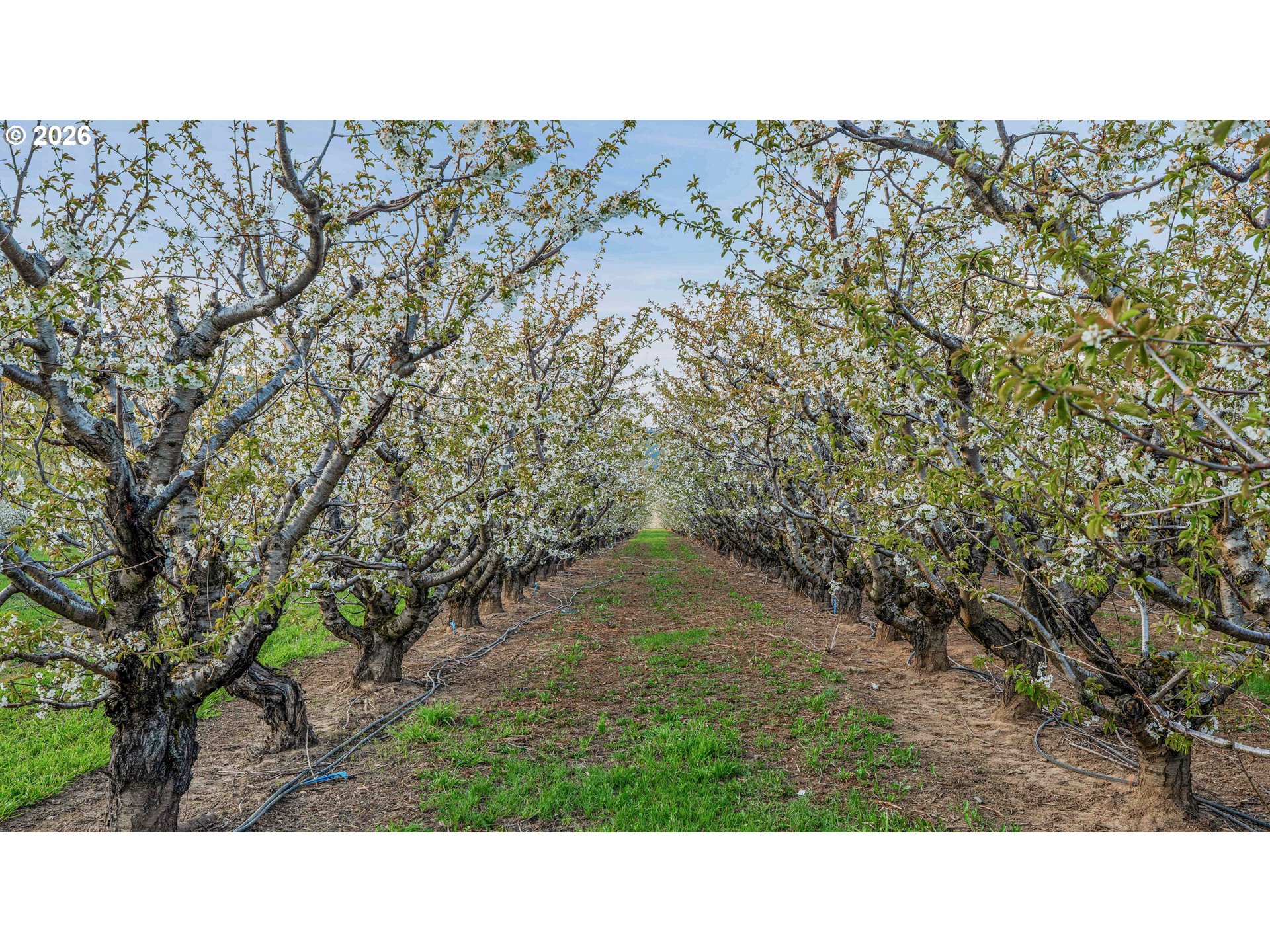 4510 Oleary Road Hood River, OR 97031 - Photo 12 of 22