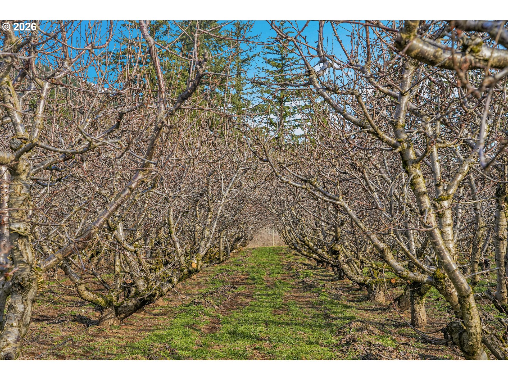 4510 Oleary Road Hood River, OR 97031 - Photo 13 of 22