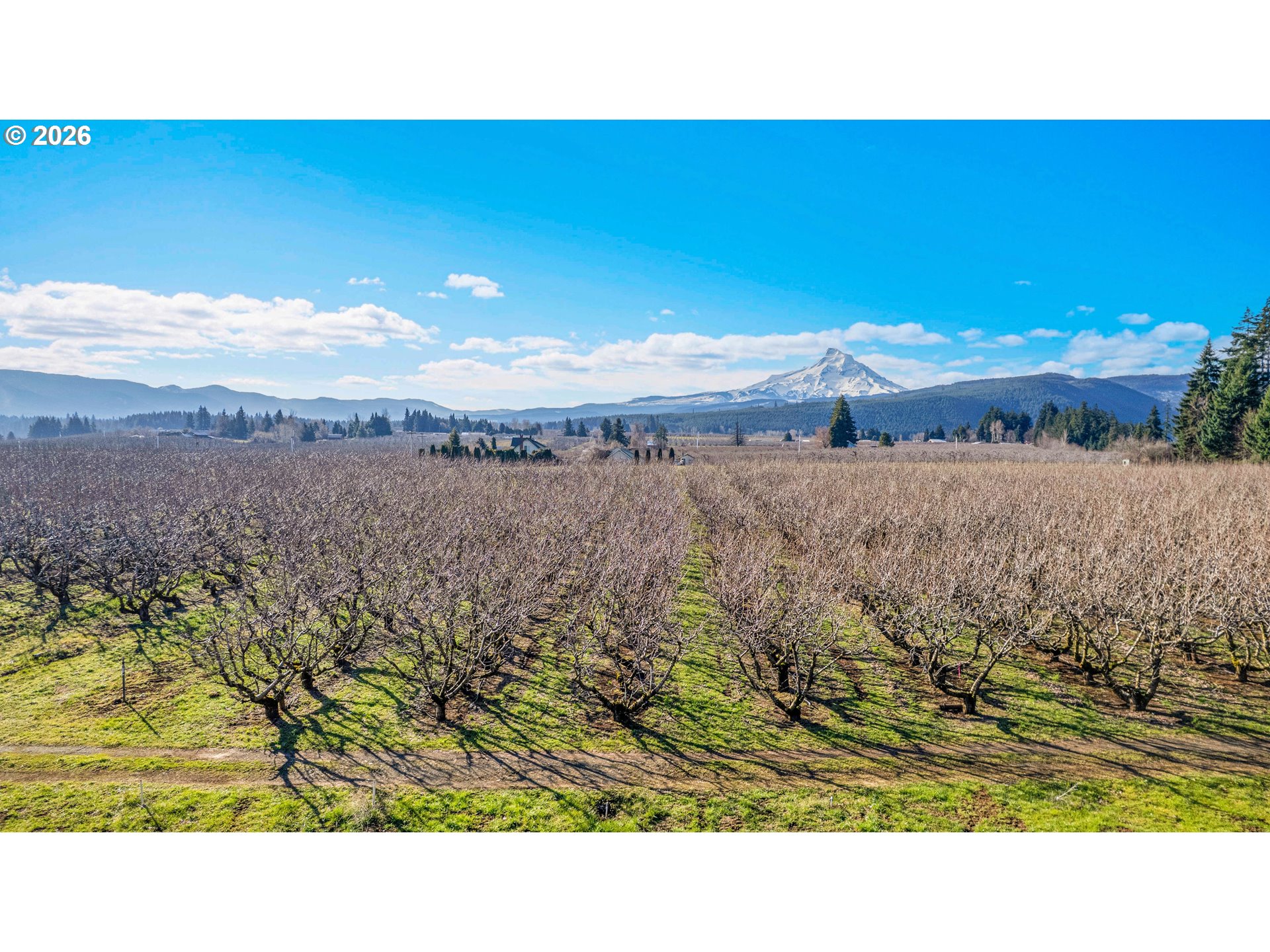 4510 Oleary Road Hood River, OR 97031 - Photo 14 of 22
