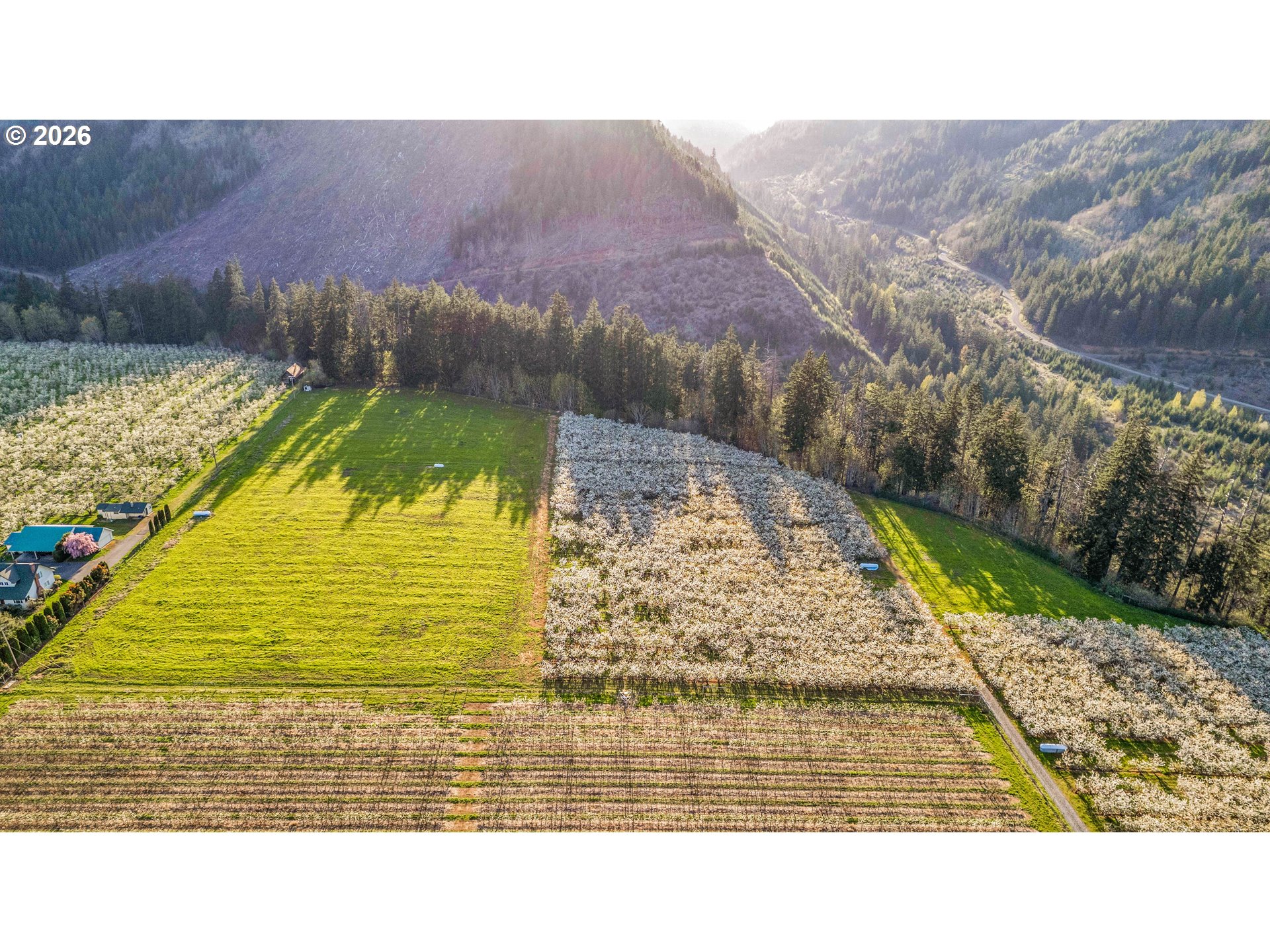 4510 Oleary Road Hood River, OR 97031 - Photo 15 of 22