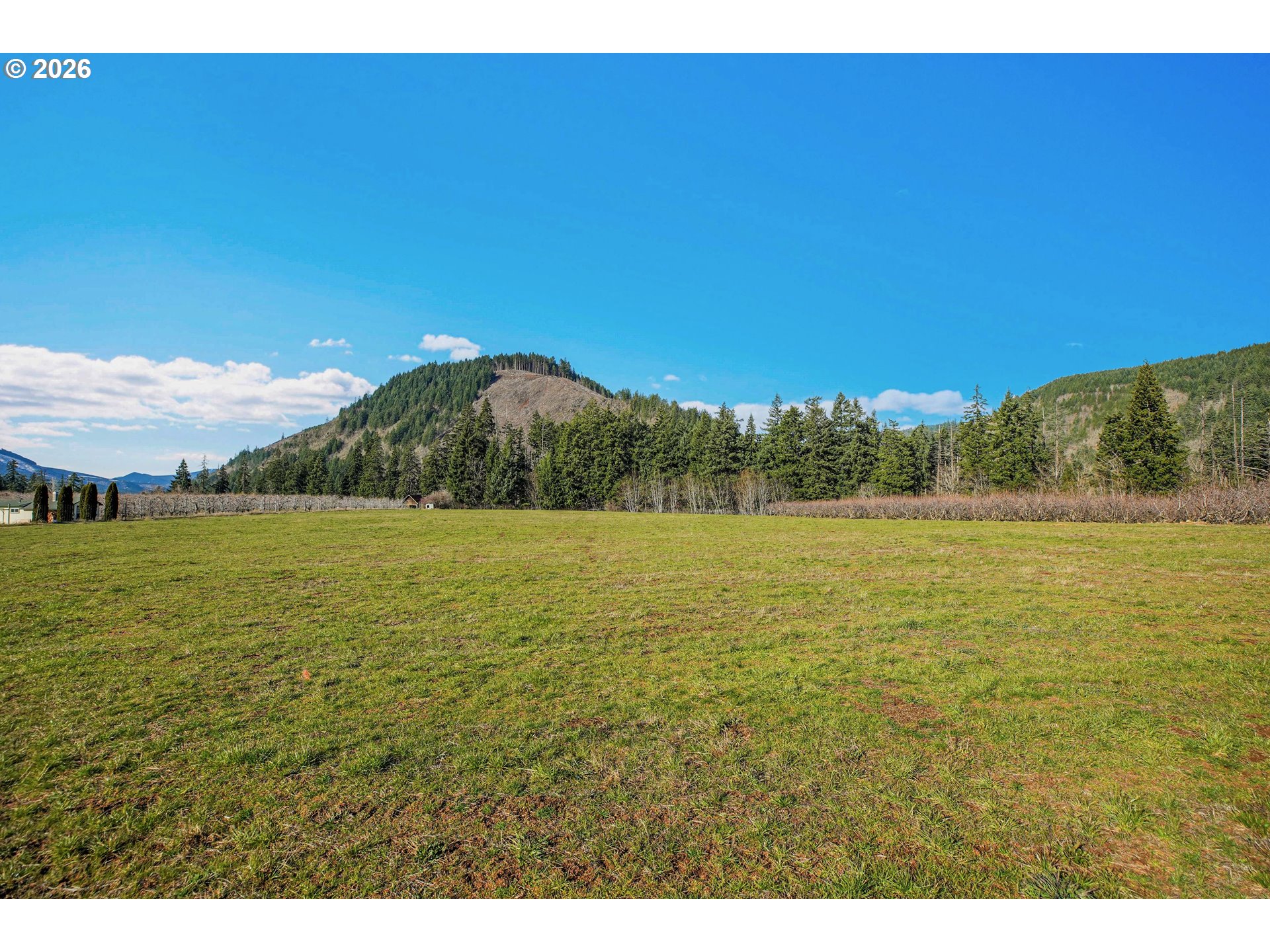 4510 Oleary Road Hood River, OR 97031 - Photo 8 of 22