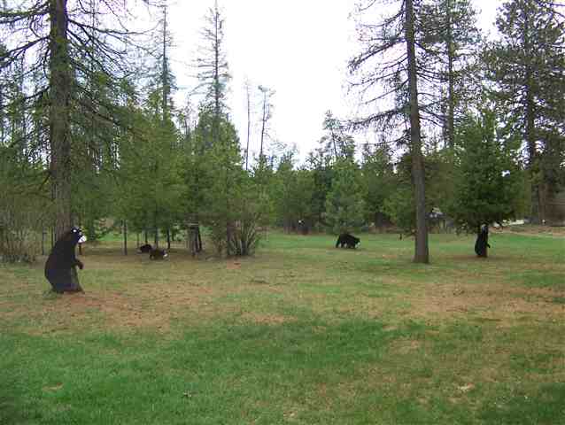 12821 East Bridges Road Elk, WA 99009 - Photo 8 of 9
